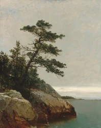 Die alte Kiefer, Darien, Connecticut