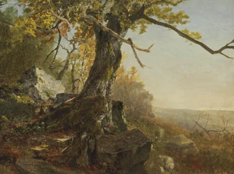 Baum in einer Landschaft