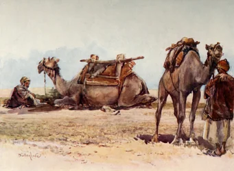 Studie von Kamelen und Begleitern, 1902