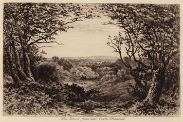 New Forest nahe Schloss Malwood