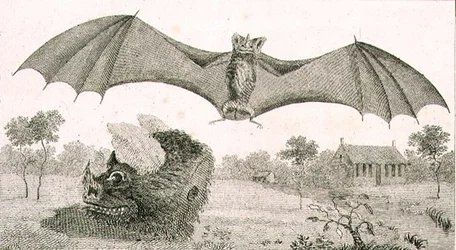 Der Vampir oder Geist von Guiana