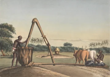 Die Checkoo oder Ölmühle