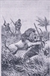 Das Ende von Livingstone, Newnes Pictorial Knowledge, veröffentlicht von Newnes, ca. 1950er Jahre
