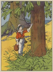 Illustration für Die Schweizer Familie Robinson