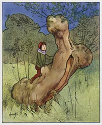 Der Zaunkönig