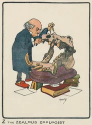 Der eifrige Zoologe