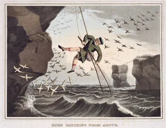 Vogeljagd von oben, graviert von Matthew Dubourg, veröffentlicht von Edward Orme, 1813