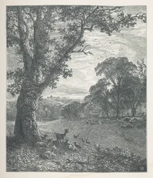 Tafel 3. Hirsche um einen Baum. Naturbilder. Eine Serie von dreißig Originalillustrationen, auf Holz gezeichnet von J. H. Dell und graviert von R. Paterson