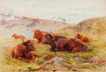 Hochlandlandschaft mit Vieh