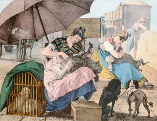 Die Hundefrisöre, 1820