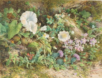 Blumenstudie, 1866