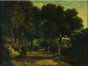 Ein schattiger Landweg