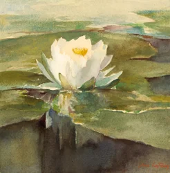 Seerose im Sonnenlicht, ca. 1883