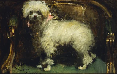 Kita