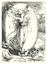 Die verborgenen Rosen