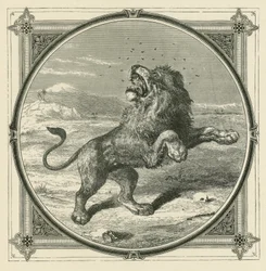 Die Mücke sticht die Augen des Löwen (Gravur)