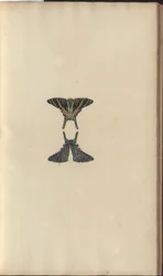 Lindsay Zeichnungen Vol. VI, 48