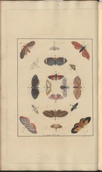 Lindsay-Zeichnungen Bd. VI, 63