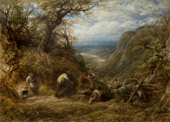Der hohle Baum
