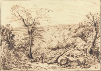 Holzfäller in einem Wald