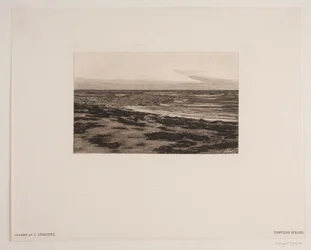 Strand von Tisvilde
