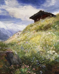 Eine Alpenwiese, Schweiz