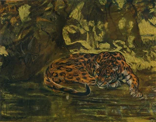Ein Jaguar