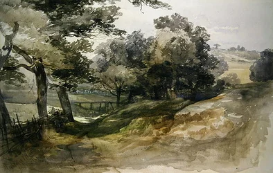 Ein schattiger Weg, Tunbridge Wells