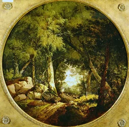 Der Waldweg
