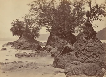 Inseln, Limon Bay, 1871