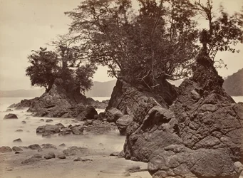 Tropische Landschaft, Limon Bay - Ebbe, 1871