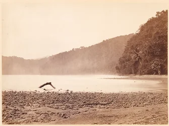 Tropische Landschaft: Der Endpunkt des vorgeschlagenen Kanals, Limon Bay (Darien-Expedition)