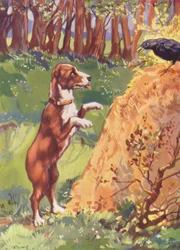 Illustration für Beautiful Joe von Marshall Saunders