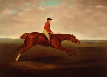 "Eclipse" geritten von J. Oakley