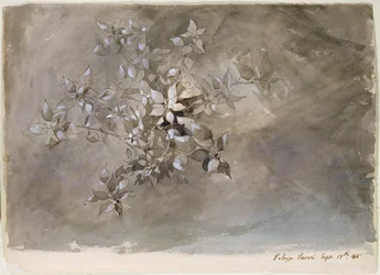 Studie von Laub