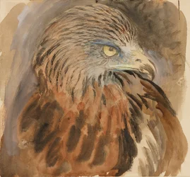 Der Kopf eines Kites, aus dem Leben, 30. August - 1. September 1870