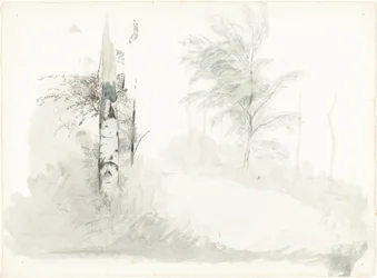 Baumstudie