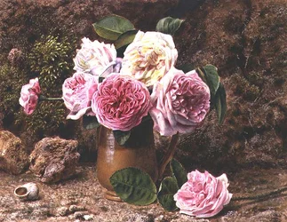 Rosen
