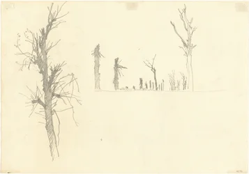 Verwüstete Bäume (Detail)