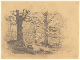 Wald, Ramsau, Deutschland, 1871