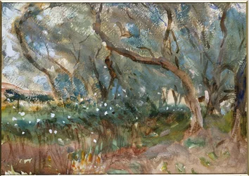 Landschaft, Korfu, 1909