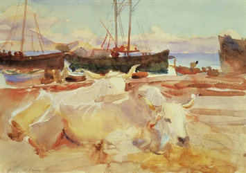 Ochsen am Strand von Baia, ca. 1908 (Aquarell auf Papier)