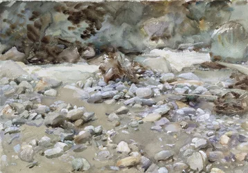 Flussbett