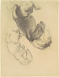 Studien für den Fall von Gog und Magog, 1903-1916