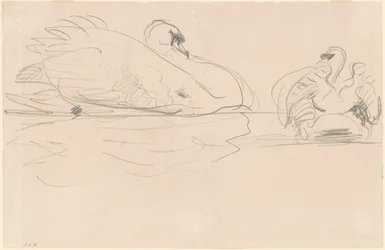 Schwäne im Wasser, 1880-1900