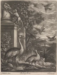 Die Vögel des Königs