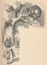 Alice und die Grinsekatze, 1889