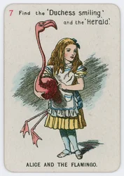 Alice und der Flamingo