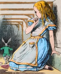 Alice und das weiße Kaninchen. Illustration von John Tenniel aus der ersten Ausgabe von Lewis Carrolls 