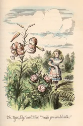 Alice im Wunderland & Durch den Spiegel, von Lewis Carroll, illustriert von John Tenniel